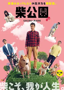 国内精品久久久久伊人av