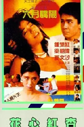 日韩三级在线播放