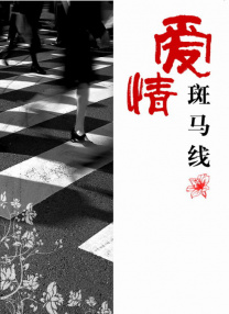 图片区 小说区