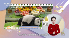 99久久99久久精品